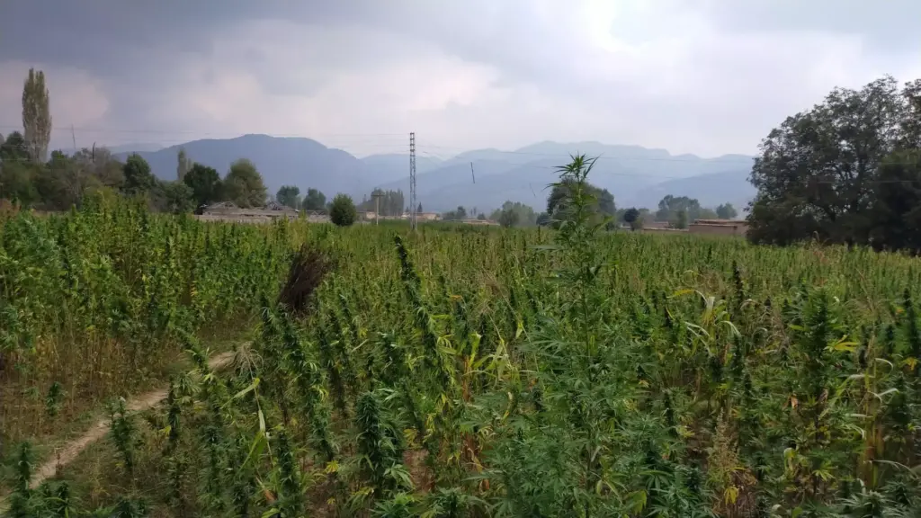 Tirah Valley, Hindu Kush, Pakistan